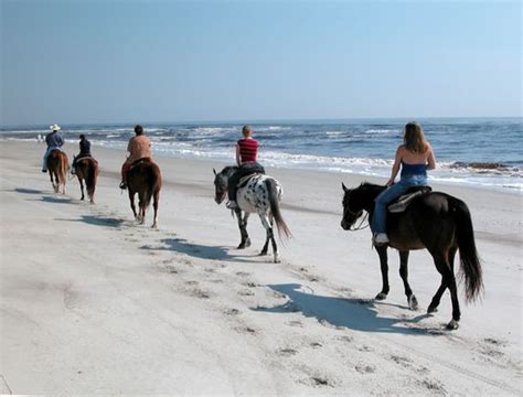 horseback riding on the beach jacksonville fl|horseback riding lessons jacksonville fl.